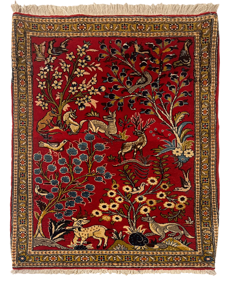 Alfombra SN0004 · Cenital