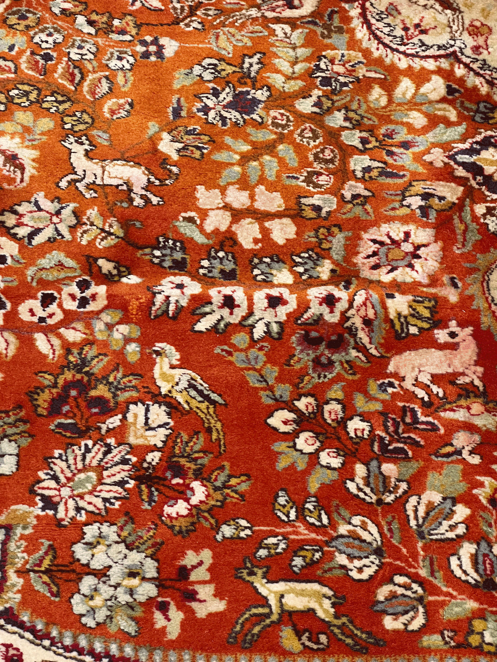 Alfombra PM0047 · Detalle 2