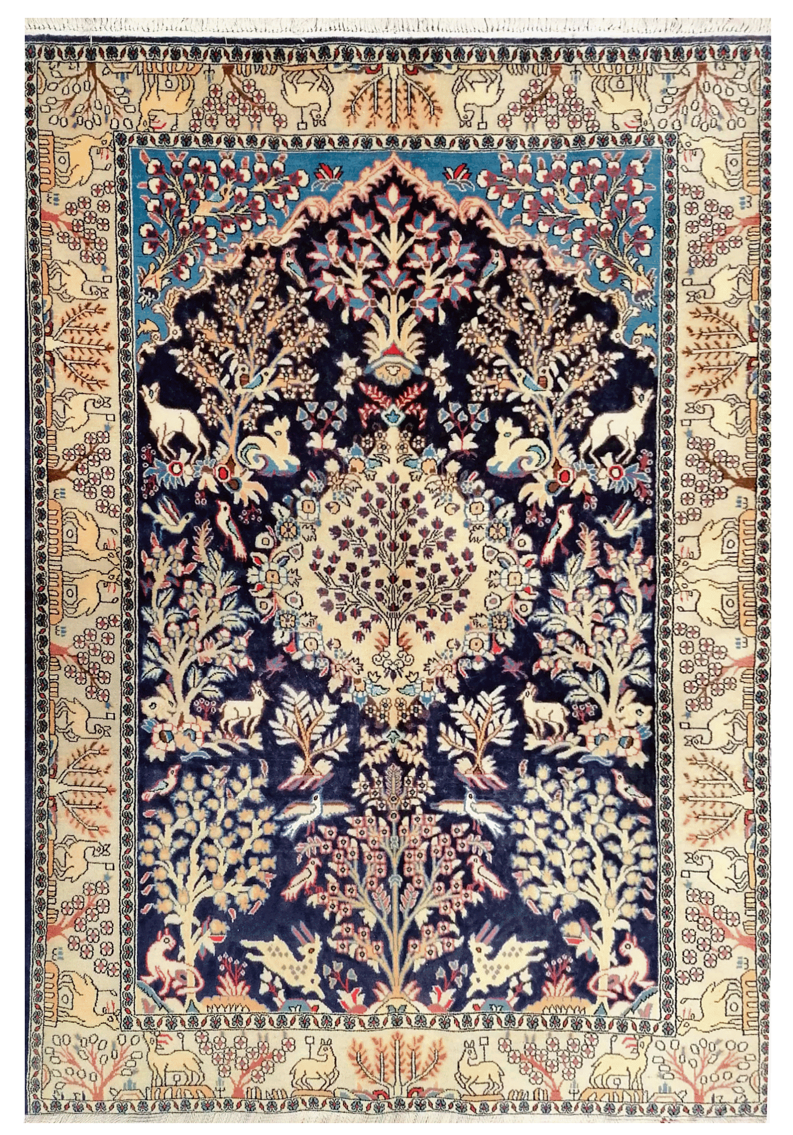 Alfombra 1907, fotografía general
