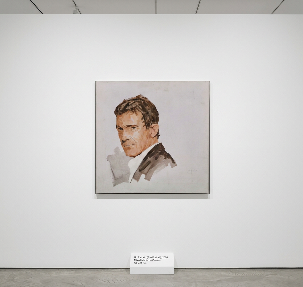 Retrato de Antonio Banderas, fotografía general