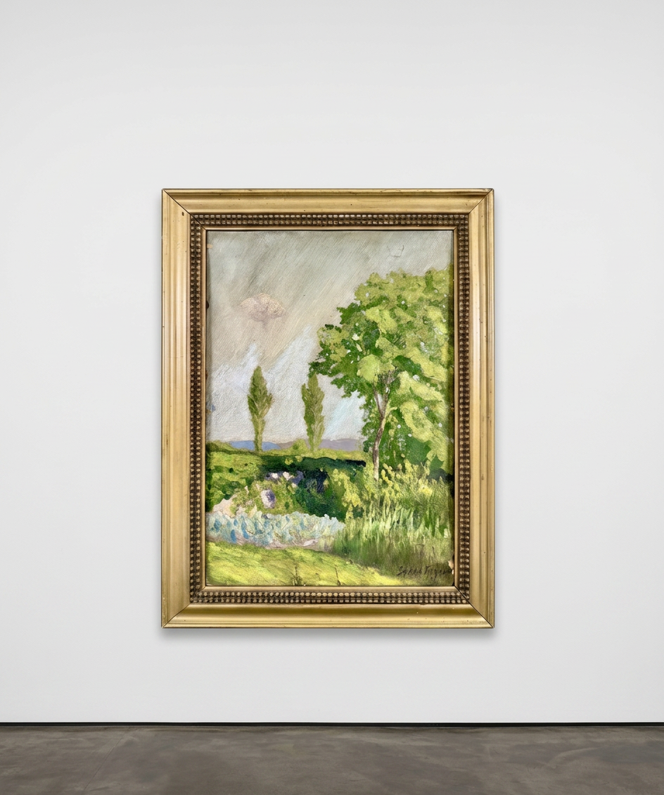 Paisaje con álamos, fotografía general